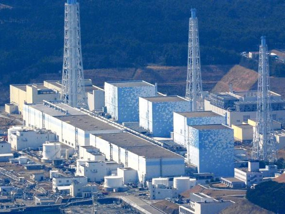 Фукушимагийн цөмийн цахилгаан станцын ус хүний ДНХ-г өөрчлөх аюултай гэв