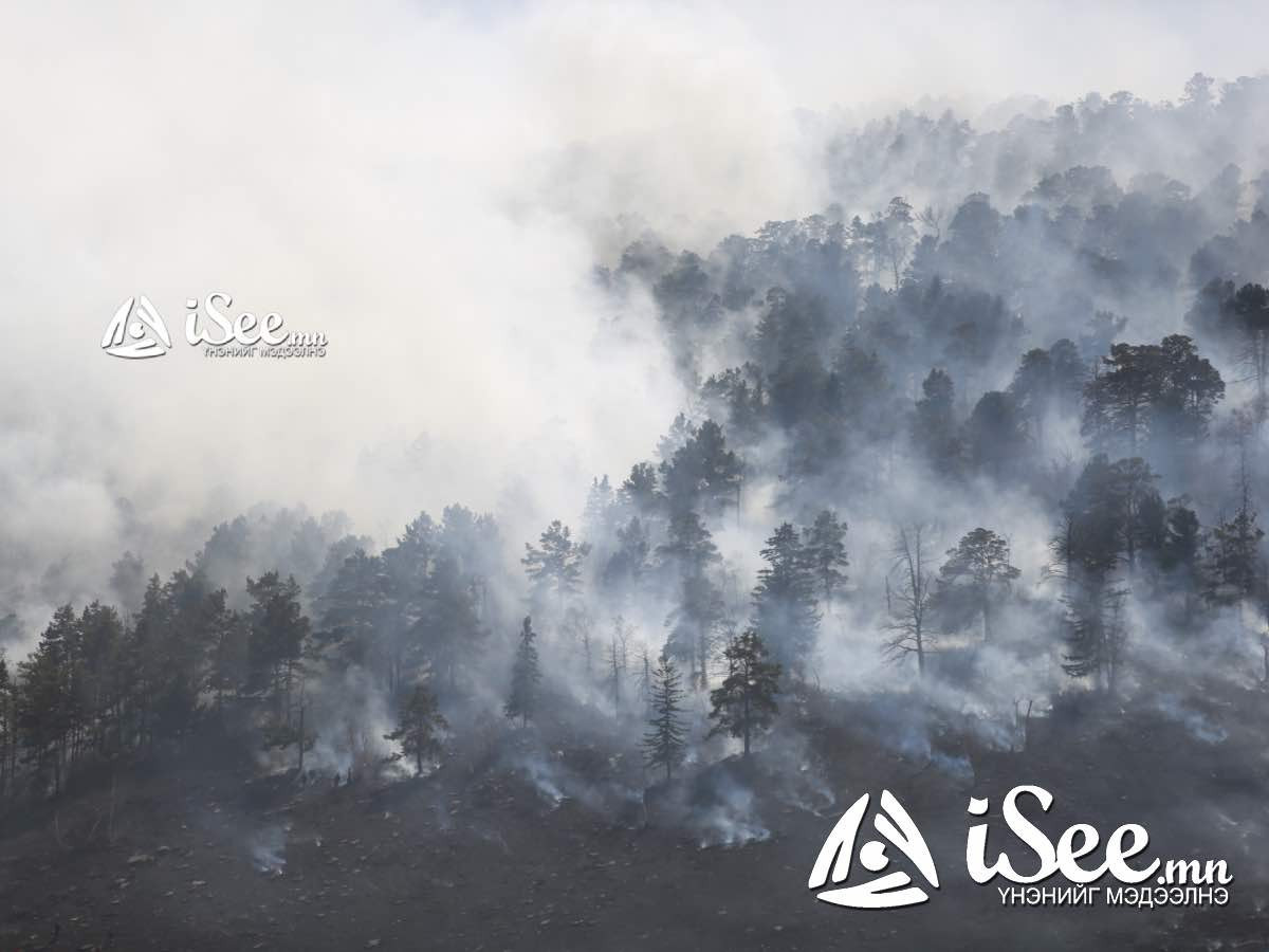 Хөвсгөл аймгийн Ханх суманд гарсан ойн түймрийг байгаль хамгаалагчид, нутгийн иргэд хамтран унтраалаа